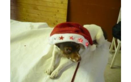 ARGENTON 71 – LUNERY 6